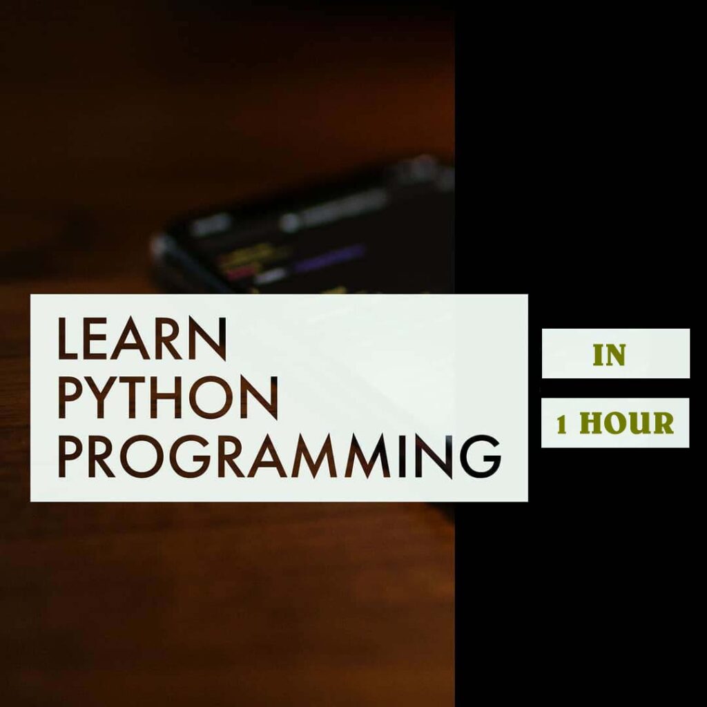 Learn Python Programming in One Hour - Video Tutorial